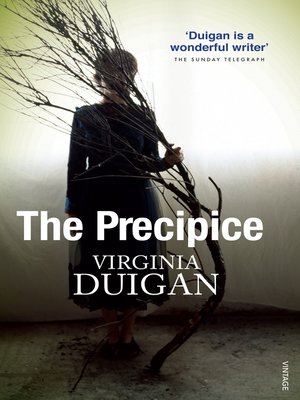 The Precipice - ebook